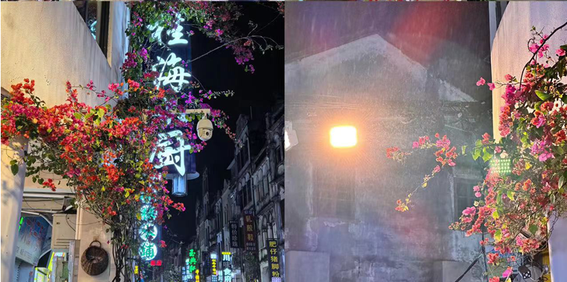 1764211634369595.png 7.png